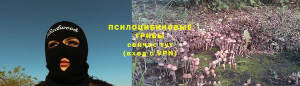 a pvp Аркадак