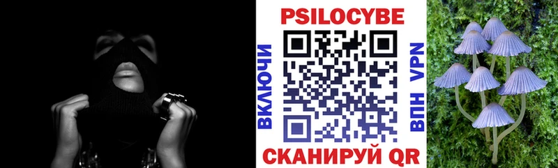 Галлюциногенные грибы мицелий  как найти закладки  Борзя 